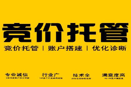 百度竞价排名：实战案例告诉你如何实现精准推广
